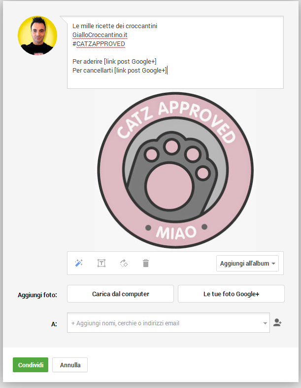 cerchie newsletter google plus
