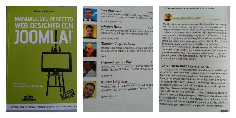 contributo