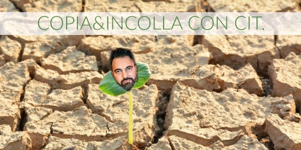 copia&incolla cit